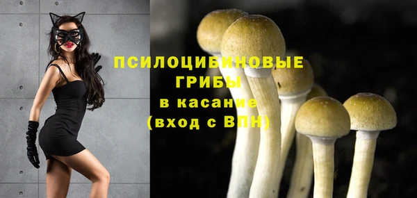 скорость Саяногорск
