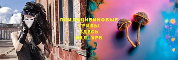скорость Саяногорск