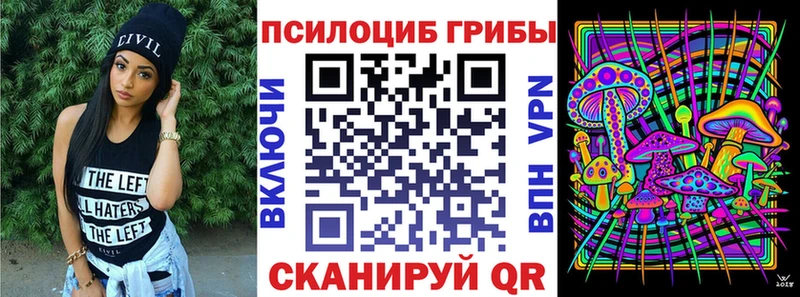 Галлюциногенные грибы Psilocybine cubensis где купить наркотик Оханск