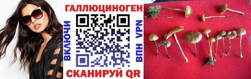 Галлюциногенные грибы MAGIC MUSHROOMS Оханск